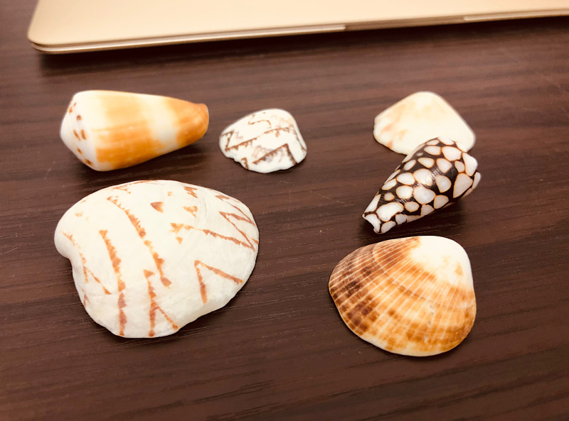 石垣島のビーチには、楽しみがいっぱい♪