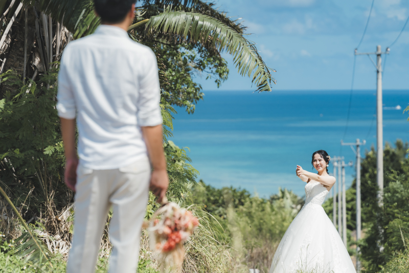 ぜひ見ていただきたい!特定天然記念物のカンムリワシに会えるかも・・・