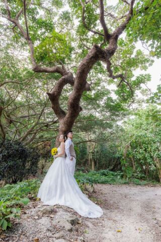 石垣はグリーンも魅力なんです！