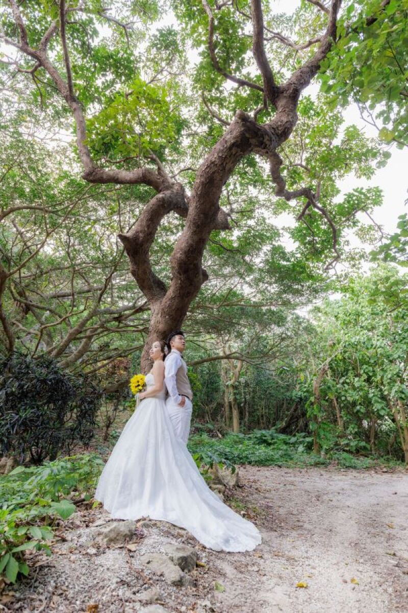 石垣はグリーンも魅力なんです！