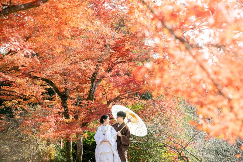 色いろいろ♡まだ間に合うかも?紅葉♡
