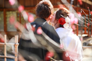 梅ロケーション