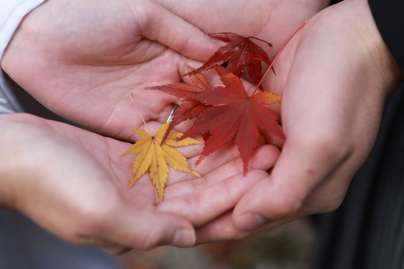 紅葉撮影