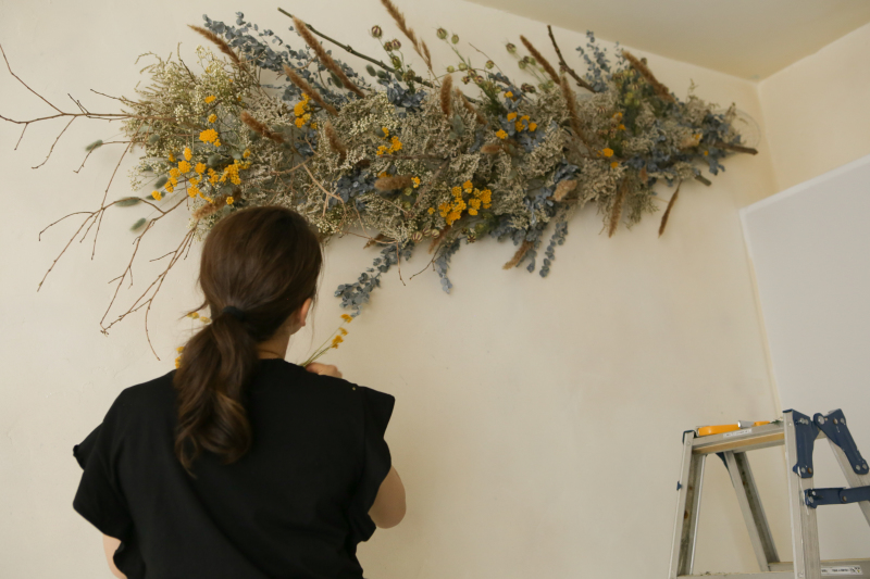 Studio Renewal