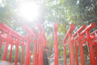 8月限定プラン☆彡