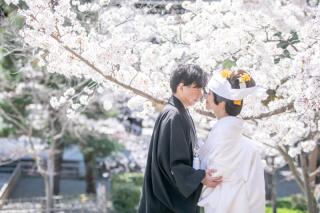 桜まであと1ヶ月？