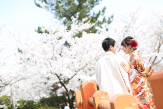 Spring Location Photo