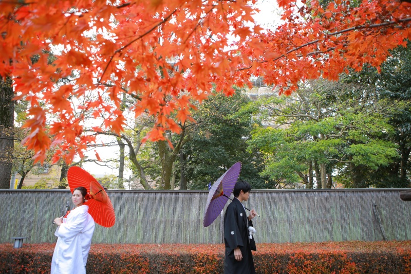 11月撮影日限定のロケーション予約がお得♪