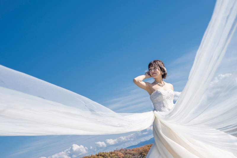 青空の下で、美しいロングベール