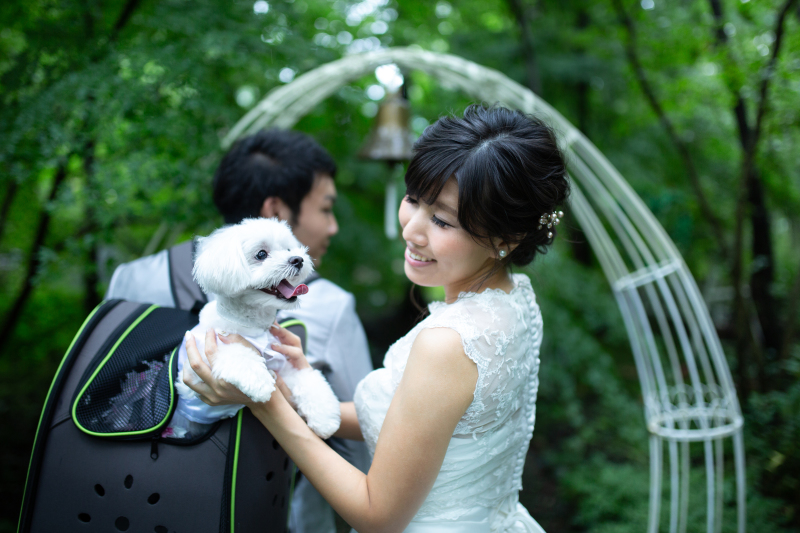 フォトウェディングは愛犬も一緒に♪