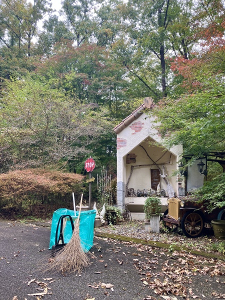 準備万端!心に残る紅葉フォトを森のガーデンで