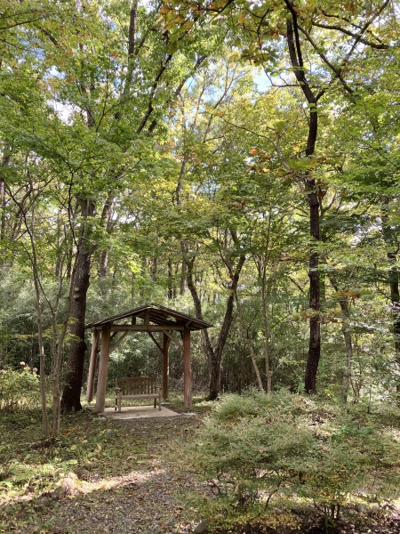 【紅葉速報！】森のガーデン＆神社の最新状況について
