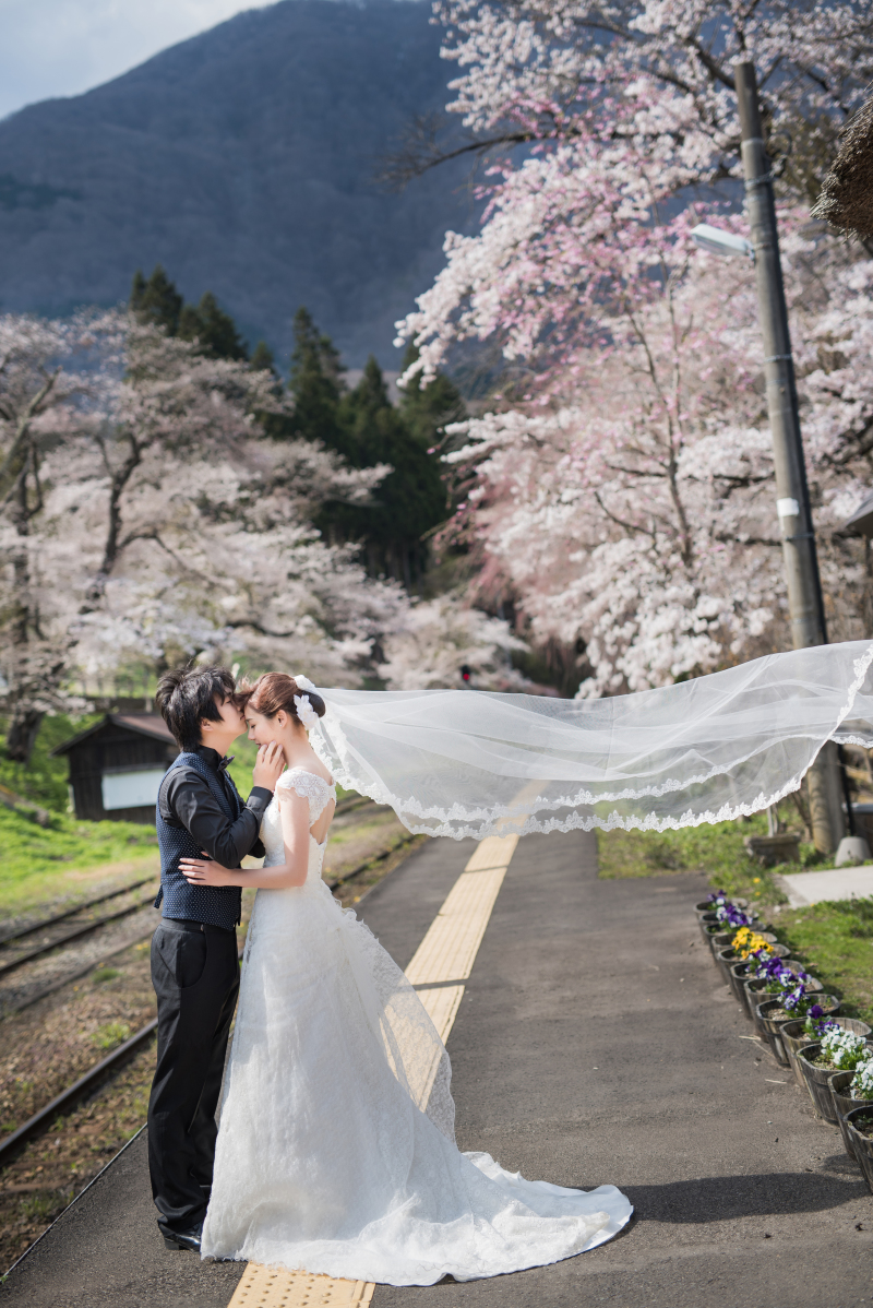 桜ロケーション受付中