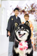 大好きなペットと一緒に♡