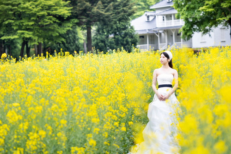 まだ間に合います!4月菜の花畑・洋館ロケ♡