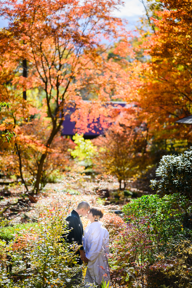 満員御礼-紅葉シーズン-