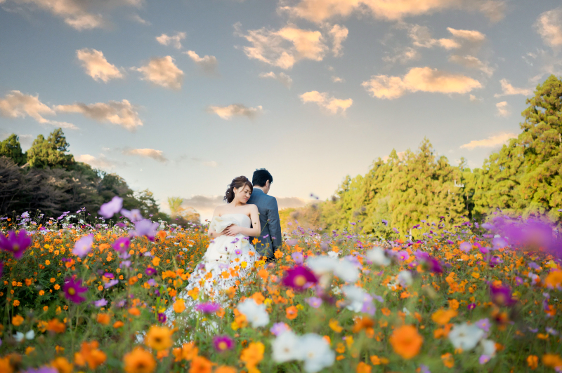 コスモスwedding♡まだご予約間に合います!