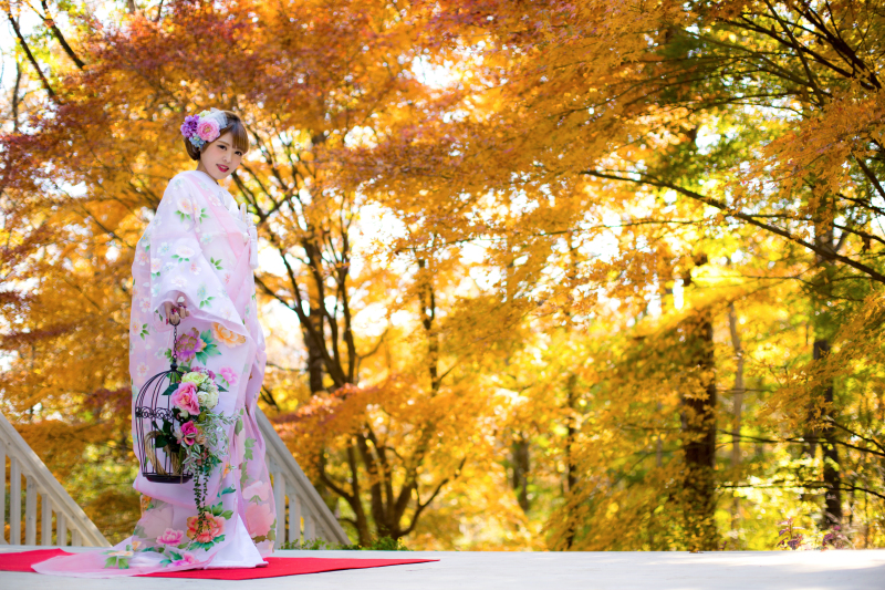 紅葉シーズンに関するお問い合わせ