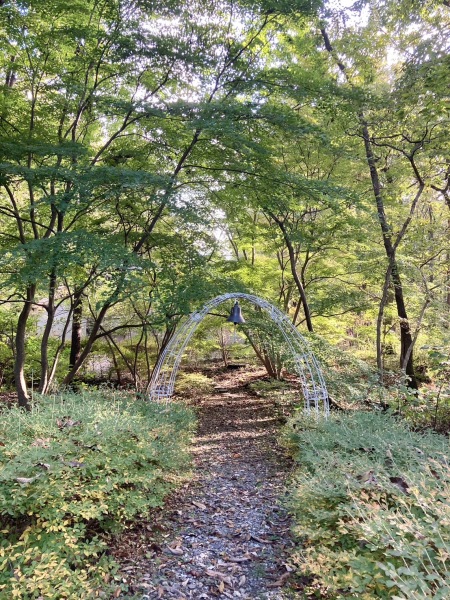 【2024紅葉】平年より遅い見頃となりそうです☆