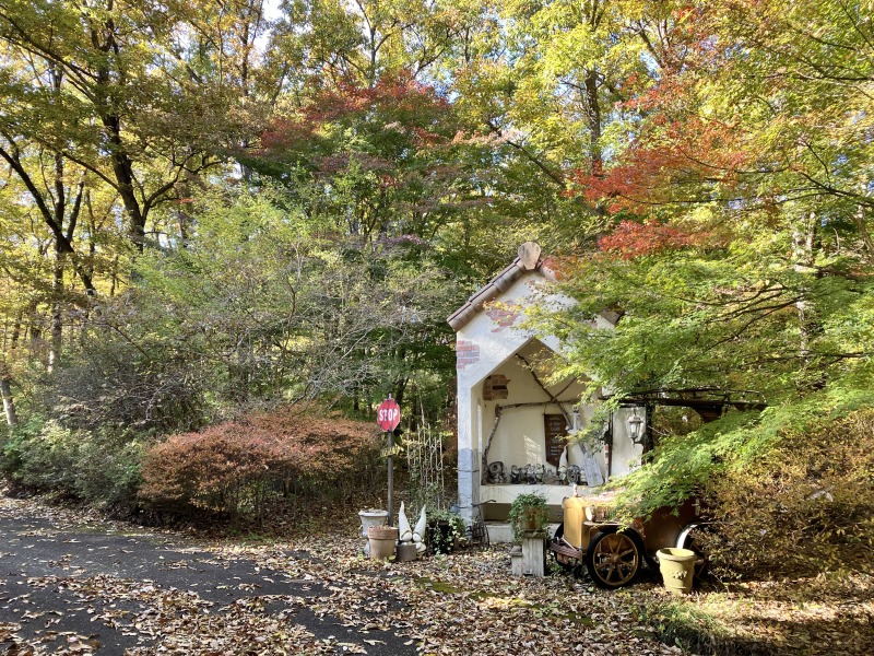 <11/4最新>森のガーデンの紅葉状況をお知らせ!