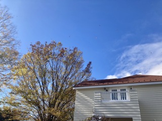 衣装試着大歓迎です♡