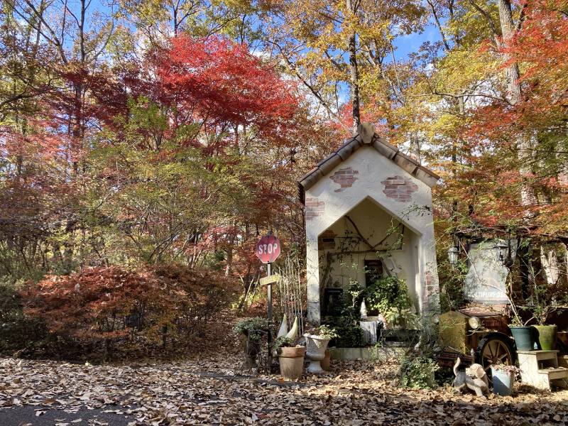 紅葉シーズンありがとうございました