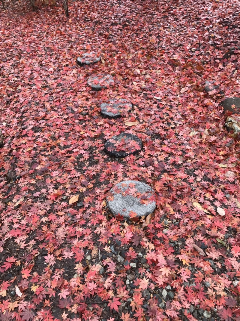 心踊る紅葉