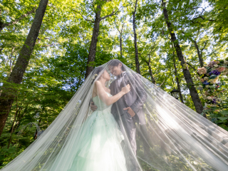 8月のハイライト写真をご紹介!