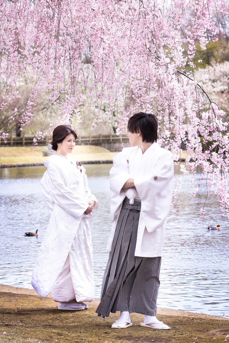 1/31まで！キャンペーン締切間近【桜ロケ最大￥85,000割引き！！】