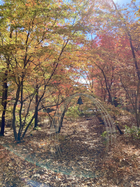 紅葉シーズンありがとうございました