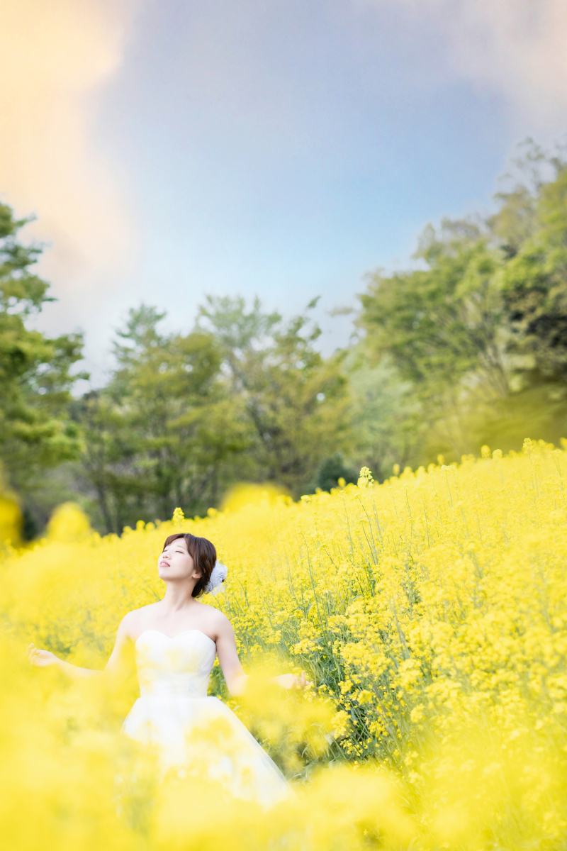 4月菜の花畑・洋館ロケ