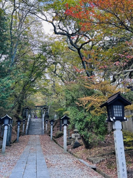 【紅葉速報！】森のガーデン＆神社の最新状況について