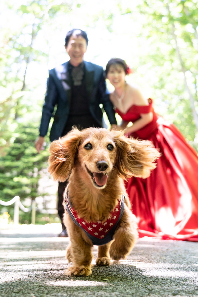 ペットと一緒に♡ガーデンwedding