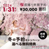 1/31まで！キャンペーン締切間近【桜ロケ最大￥85,000割引き！！】