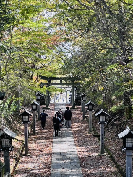 【紅葉速報！】森のガーデン＆神社の最新状況について