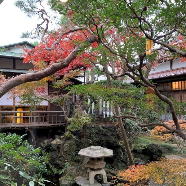 紅葉2