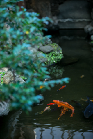 【庭園】自然の良さを感じながら