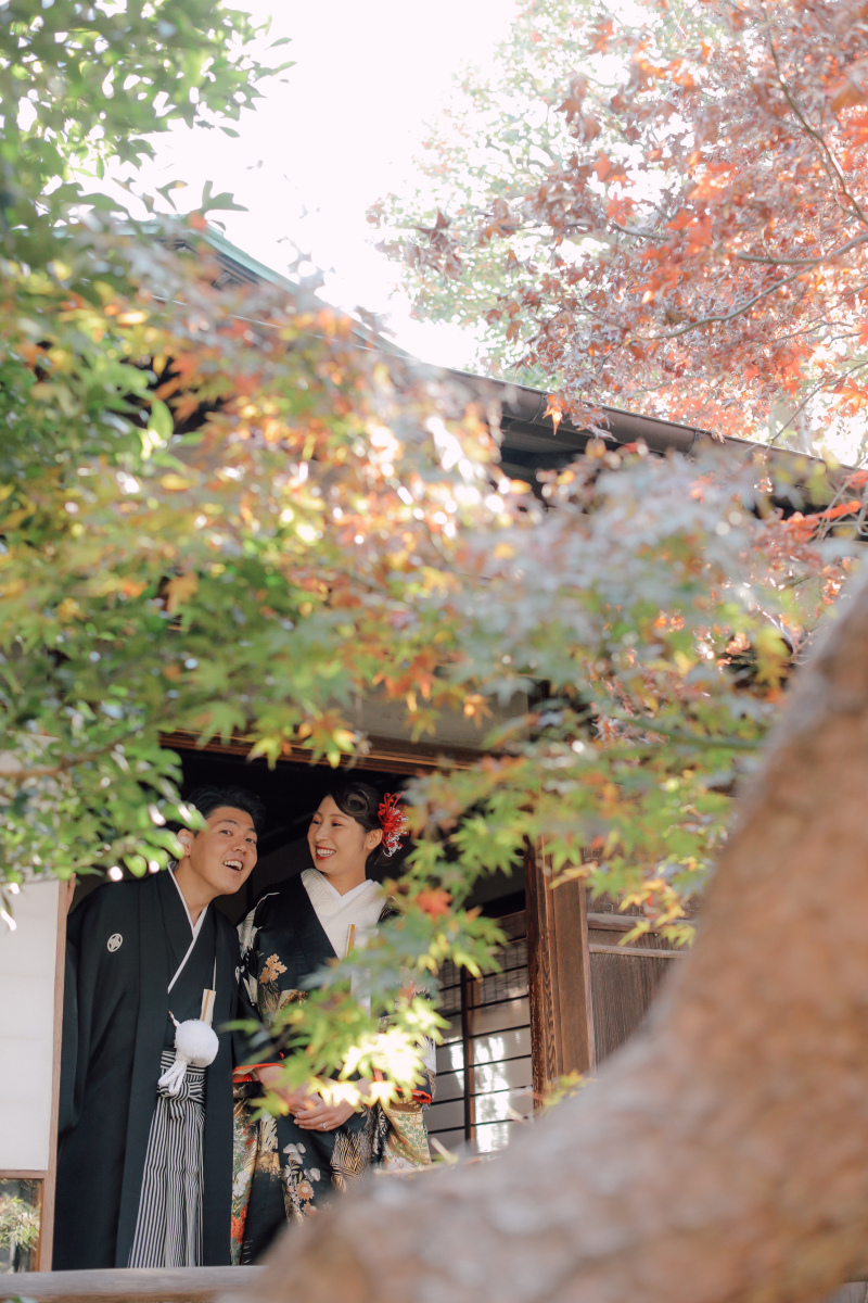 紅葉が見頃を迎えました