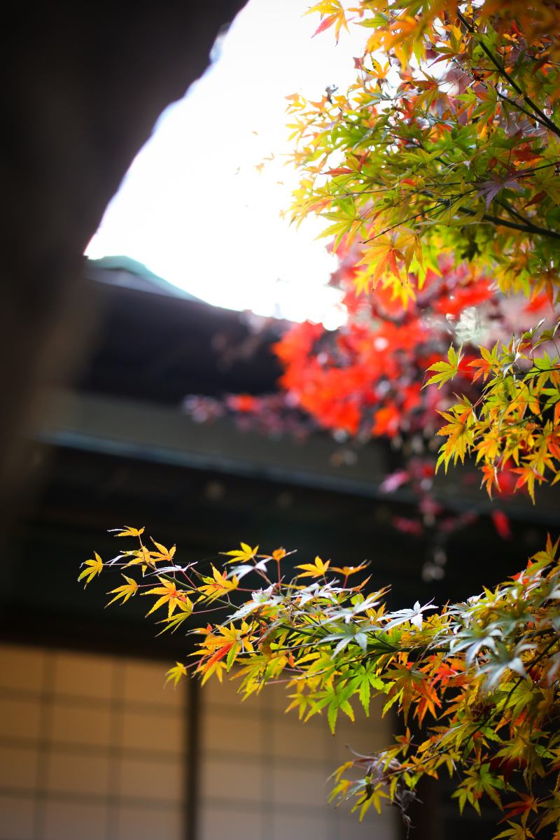 【庭園】季節を感じられる写真