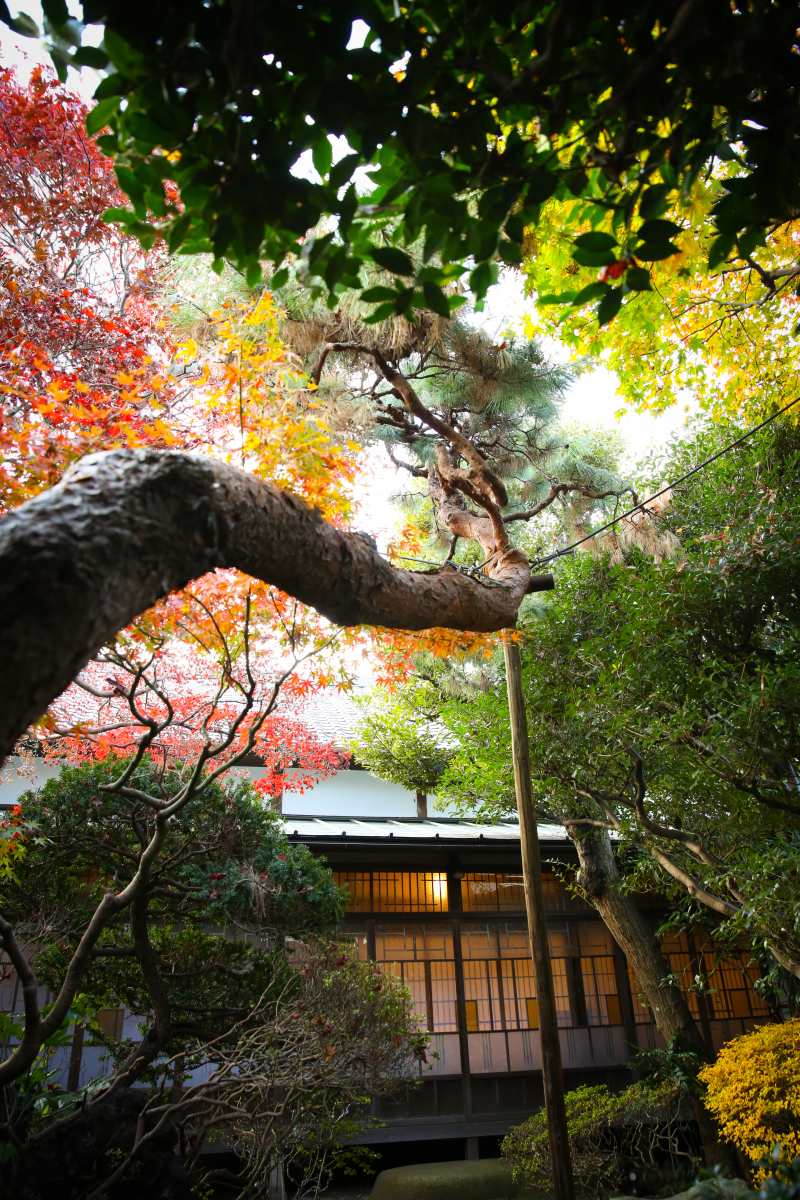 【庭園】秋のフォトウエディングはいかが？
