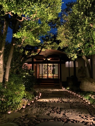 Merry Christmas・。*