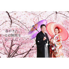 いよいよ桜の季節!!!