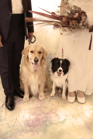 わんちゃんと♫