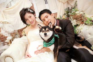 マタニティウェディング