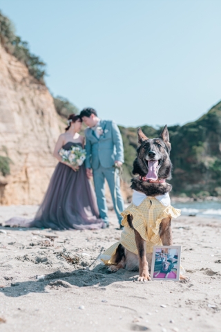 大型犬もお任せ下さい!愛犬と一緒に♡