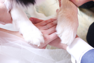 ワンチャンと一緒に♡