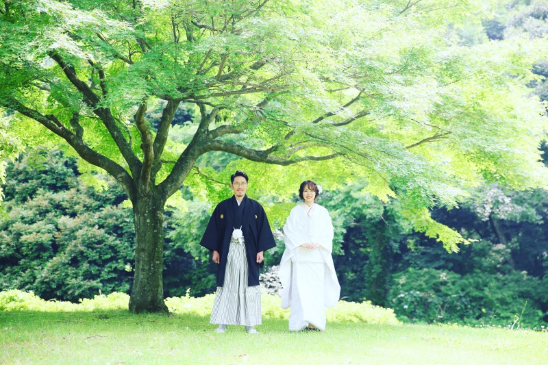 New!!プラン