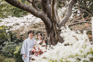 まだ間に合う!桜ロケーション撮影
