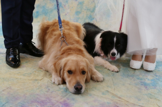 ペットちゃんと一緒に...♡