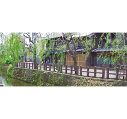 歴史あふれる街並みで